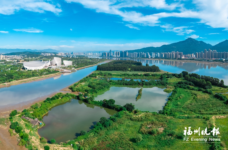 福州獲評“國際濕地城市” 系城市濕地生態(tài)保護的最高成就(圖4)