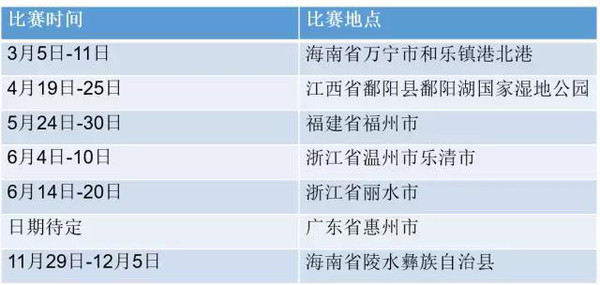 2016中華龍舟大賽全解千帆相競攪動水上風(fēng)波(圖2)