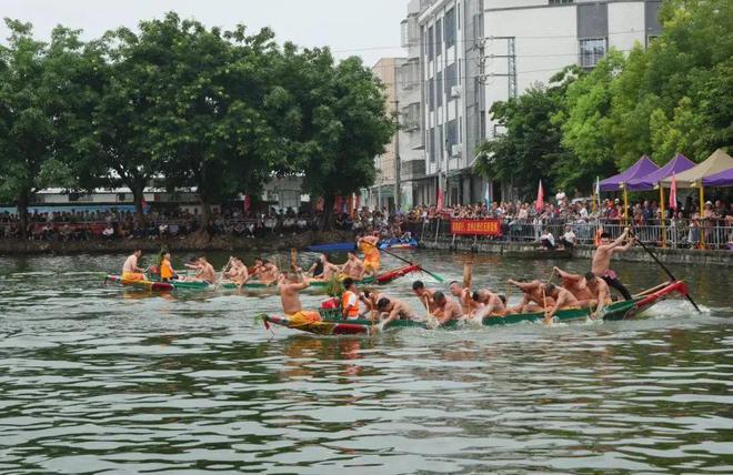 熱鬧！澄海各地龍舟賽精彩紛呈你來看了嗎?。?圖1)