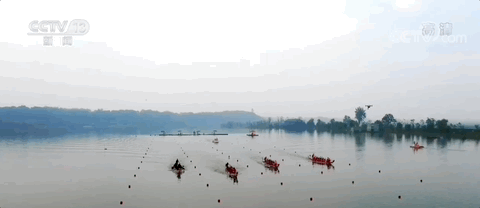 龍舟經(jīng)濟(jì)何以乘風(fēng)破浪？(圖13)
