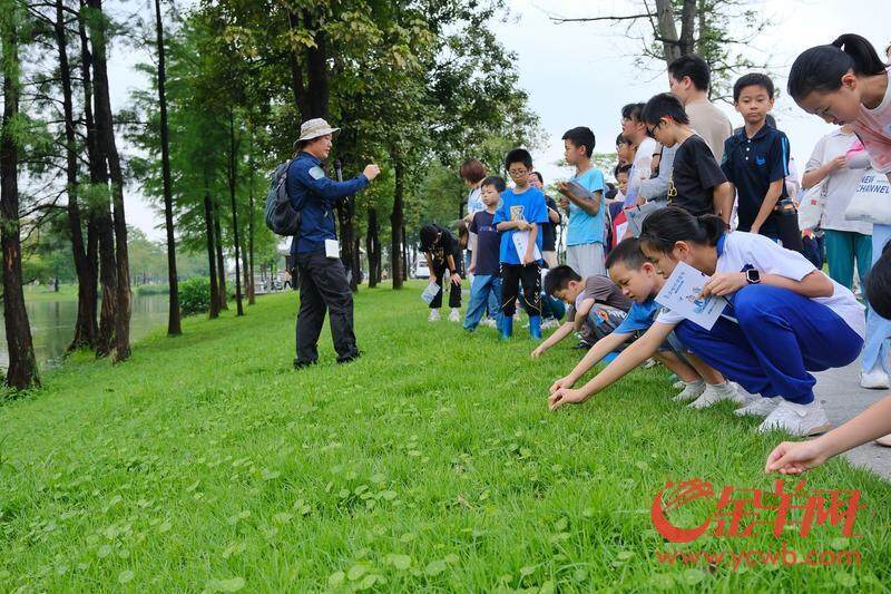 @荔灣街坊2025荔灣工作重點來了！涉及你的“衣食住行”｜聚“荔”新發(fā)展?(圖5)