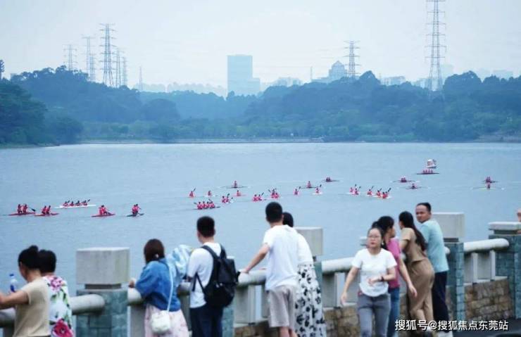 起龍、龍舟賽、文藝巡游五一假期來(lái)東莞睇龍船啦!(圖13)
