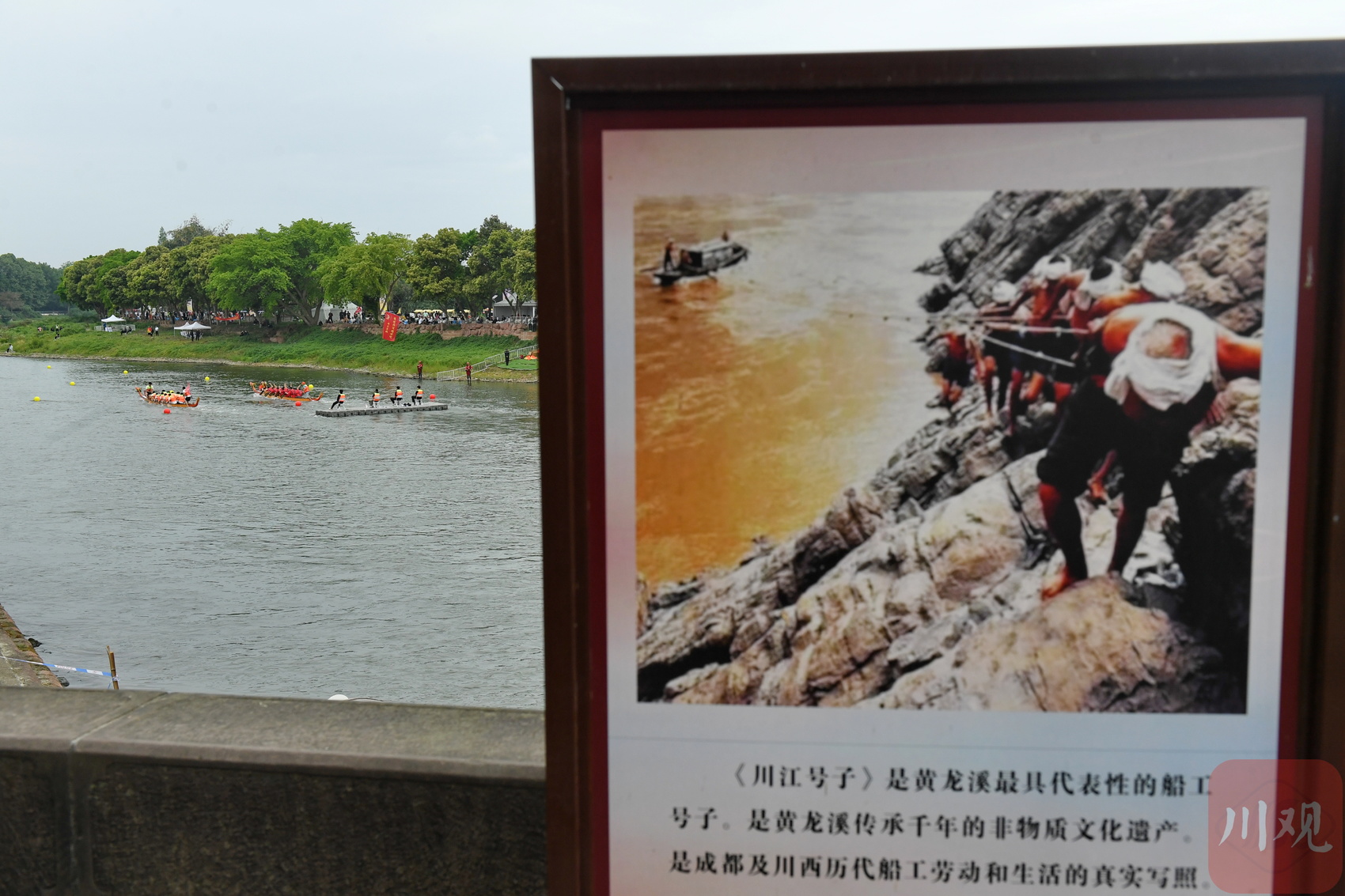 C視覺(jué)丨四川成都：700名選手齊聚古鎮(zhèn)競(jìng)渡(圖6)
