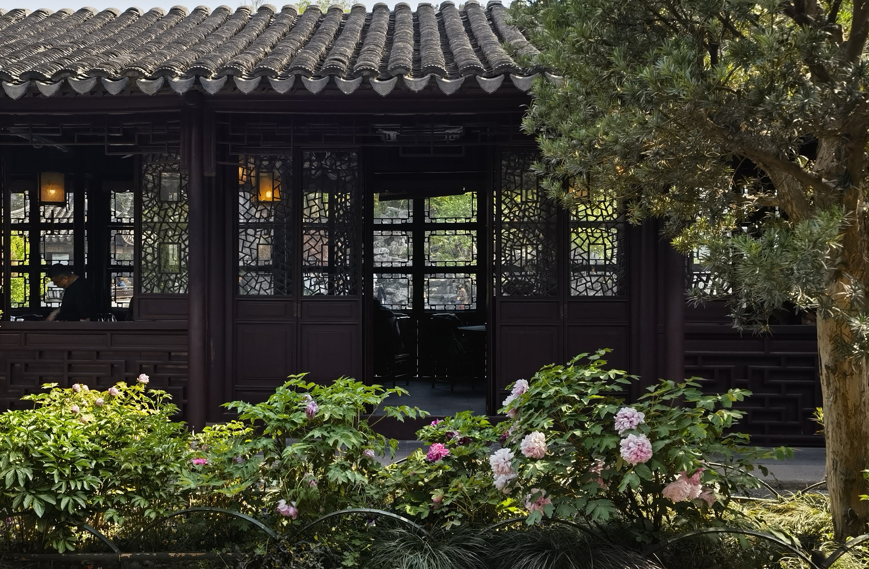 赴一場江南夏約！蘇州2025夏季文旅盛宴啟幕(圖7)