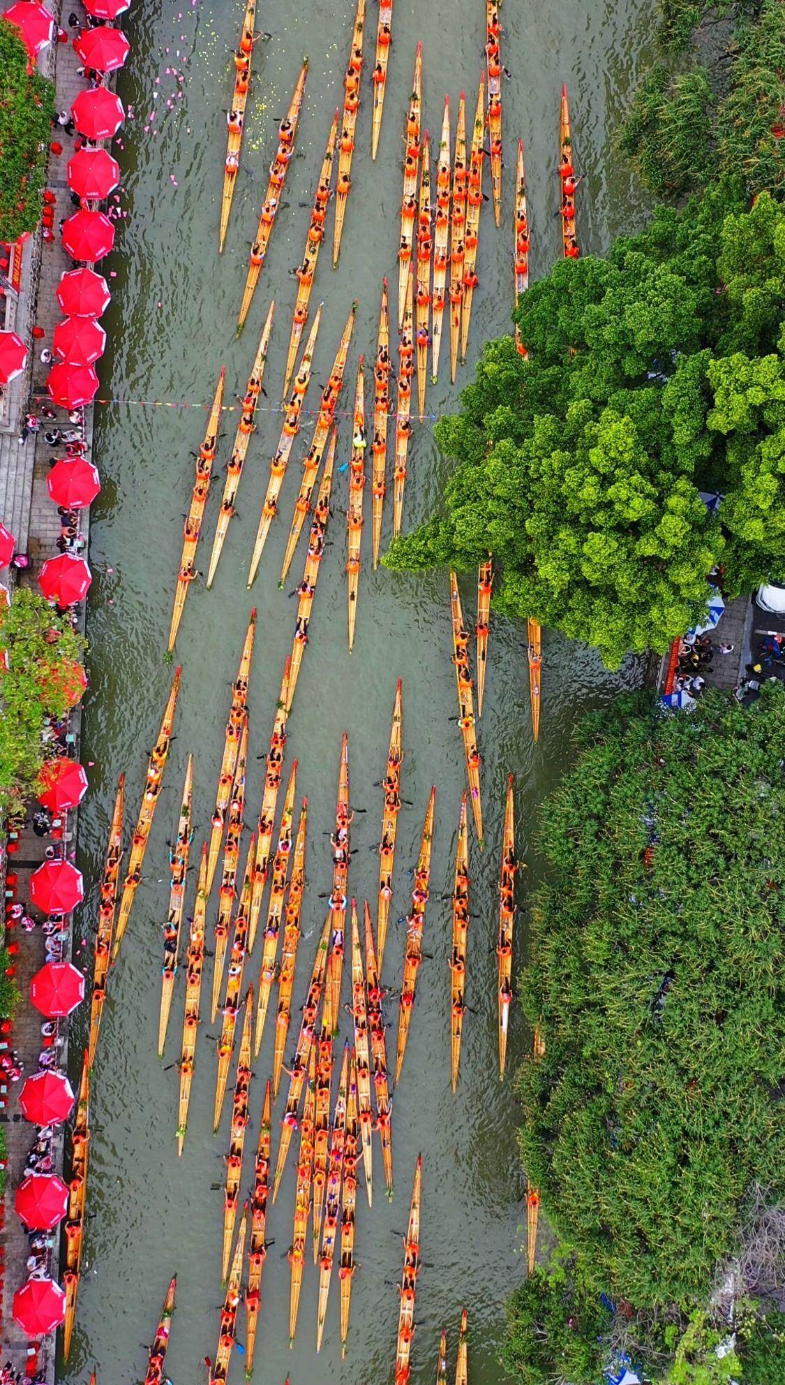 廣東佛山：超百支隊伍競渡！九江五人龍舟賽上演狂飆對決(圖1)