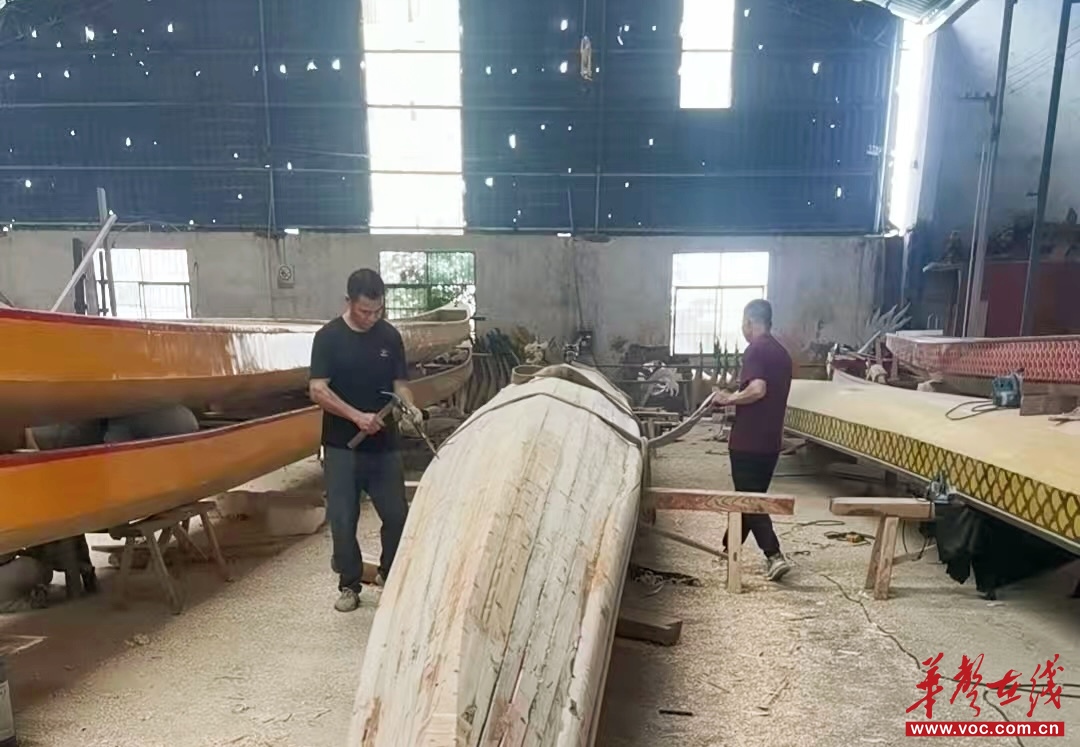 端午話非遺①一漿劃千年 端午賽龍舟(圖1)