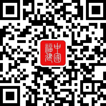 劈波斬浪連兩岸 龍舟競渡續(xù)文脈(圖2)